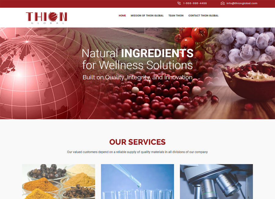 Thionglobal.com